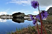 Anello Laghi di Ponteranica-Monte Avaro dai Piani il 10 giugno 2018 - FOTOGALLERY